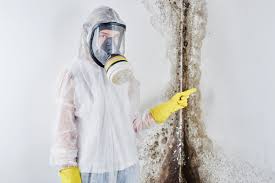 Trusted Wood Village, OR Mold Remediation Experts